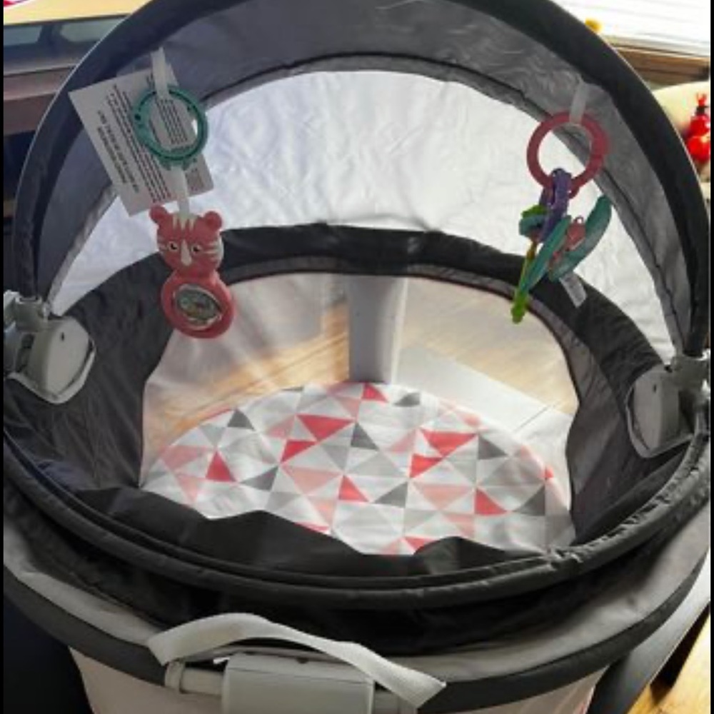 Fisher price on the go baby dome